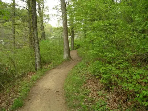 Wayne National Forest recreation area