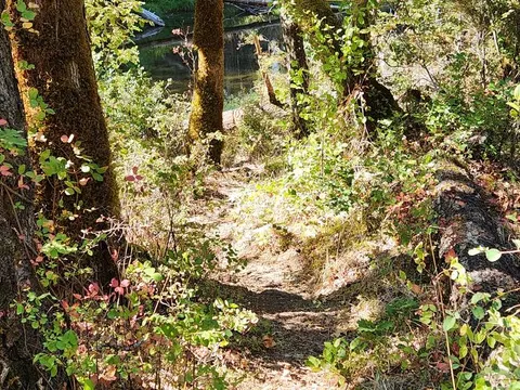 Umpqua National Forest recreation area