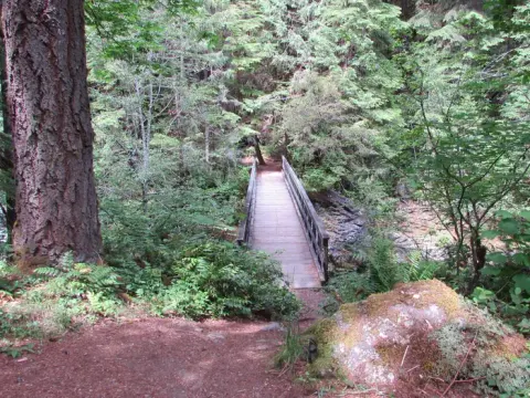 Bridge to Brice Creek Trail