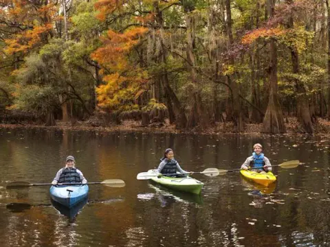 Three children kayak on the water