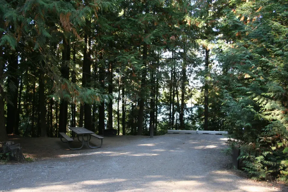 SP Campsite