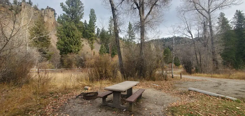 Campsite in the fall with picnic table and fire ring