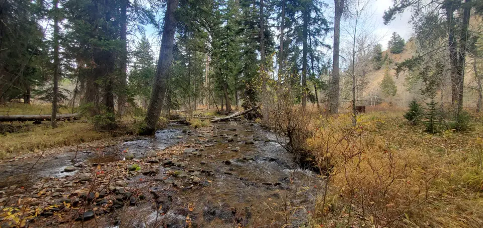 Beaverhead-Deerlodge National Forest recreation area