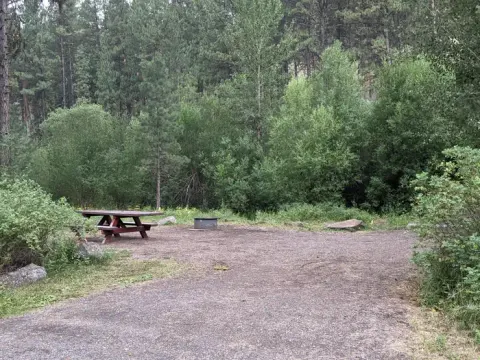 Green forest and shrubs surrounding campsite with picnic table and fire pit.