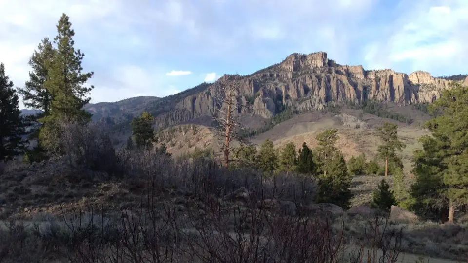 Ponderosa Campground