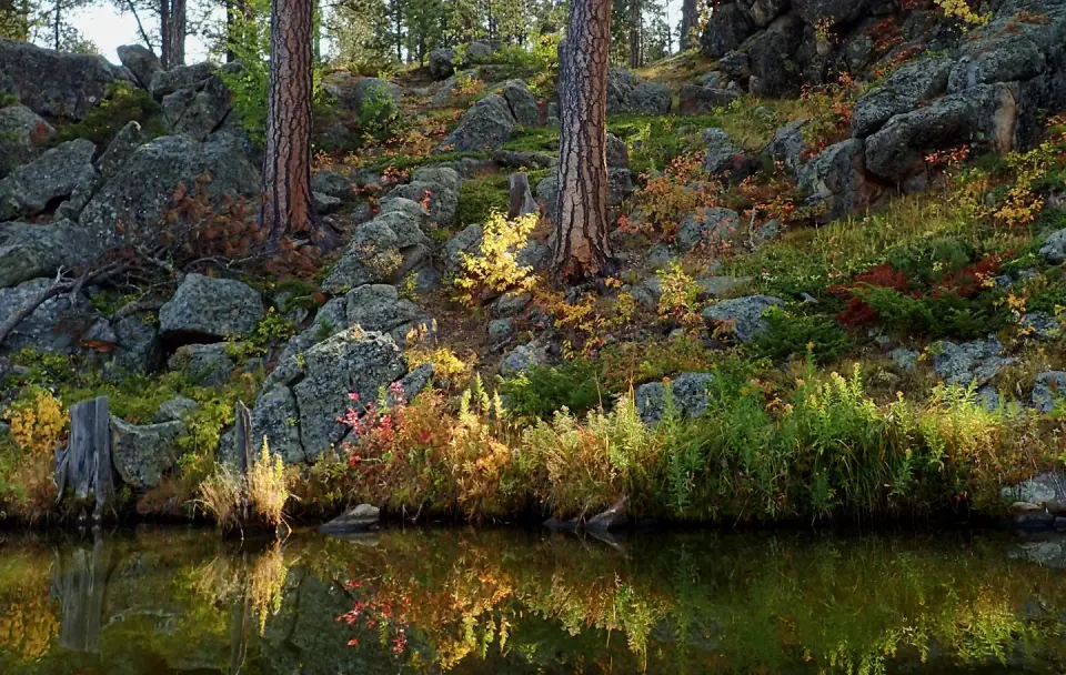 Fall colors around the lake