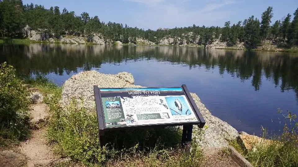 View of Lake