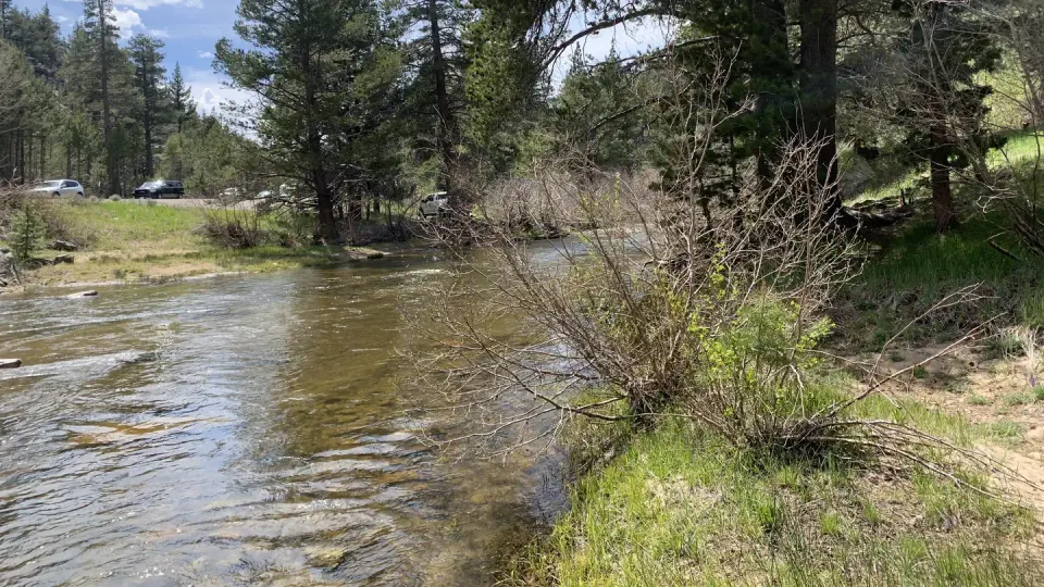 Humboldt-Toiyabe National Forest Headquarters recreation area