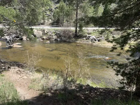 Humboldt-Toiyabe National Forest Headquarters recreation area