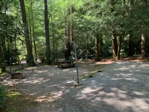 National Forests in North Carolina recreation area