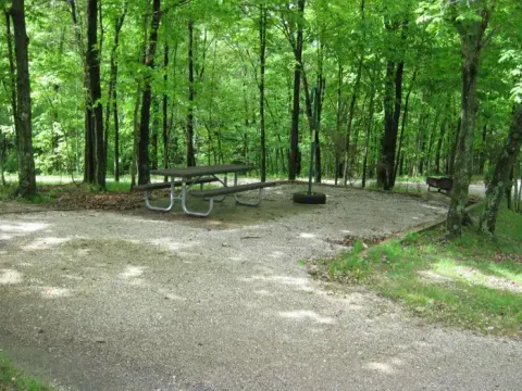 Coon Creek Camping