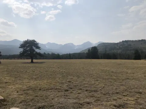 View from meadow