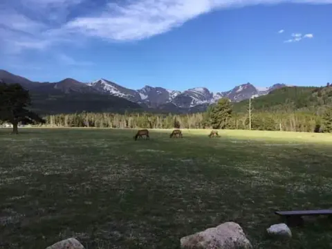Glacier Basin Meadow