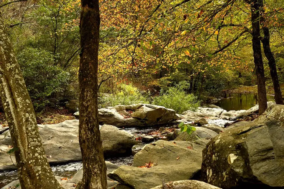 Smooth, bouldering rocks fill Gulpha Creek