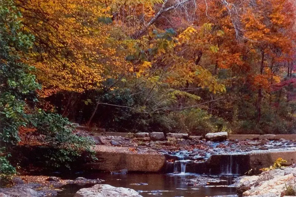 Fall colors surround Gulpha Creek