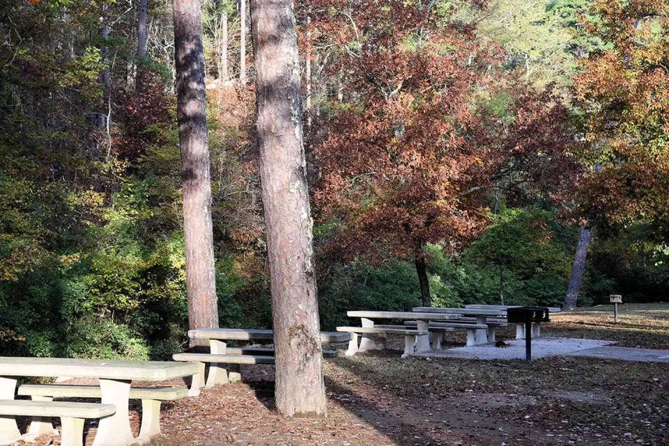 Picnic area at the Day Use Area