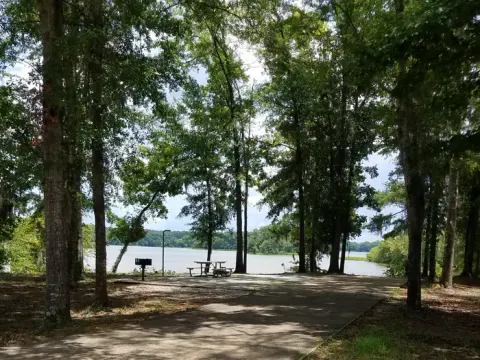 Alabama River Lakes recreation area