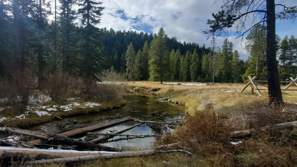 Beaverhead-Deerlodge National Forest recreation area