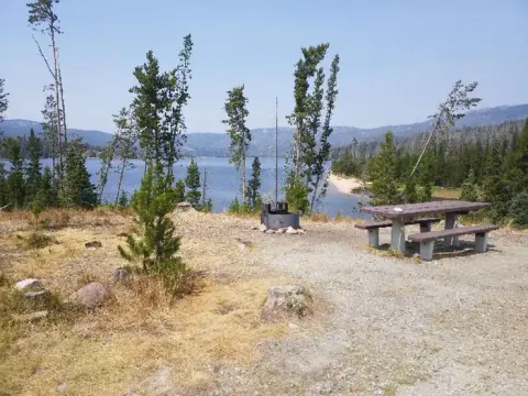 Hog Park Campsite Overlook