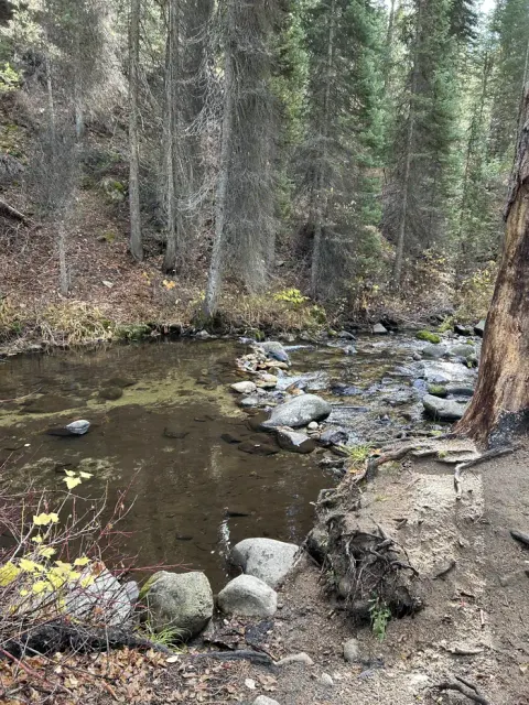Boise National Forest recreation area