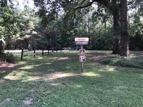 Francis Marion and Sumter National Forests recreation area