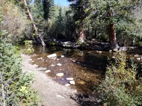 Libby Creek