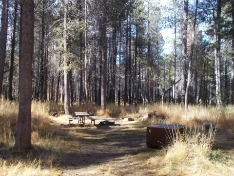 Campsite at Bridalveil Creek Campground