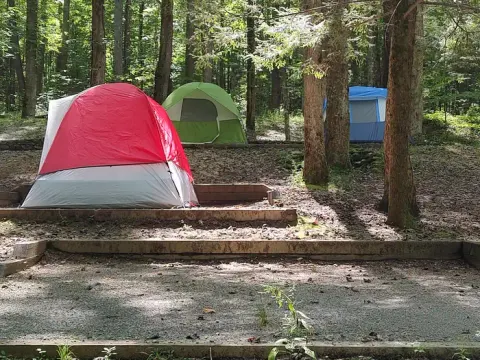 Great Smoky Mountains National Park recreation area