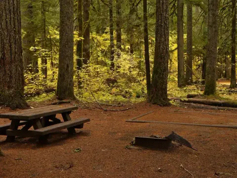 Paradise Creek campsite