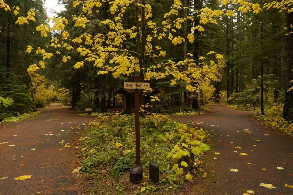 Gifford Pinchot National Forest recreation area