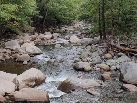 BIG CREEK