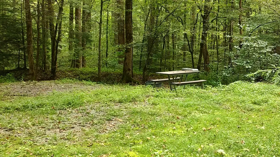 Campsite