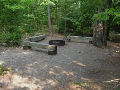 A South Manitou Group campsite with fire ring