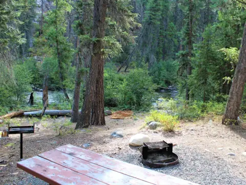 View of river from campsite with picnic table and fire ring.