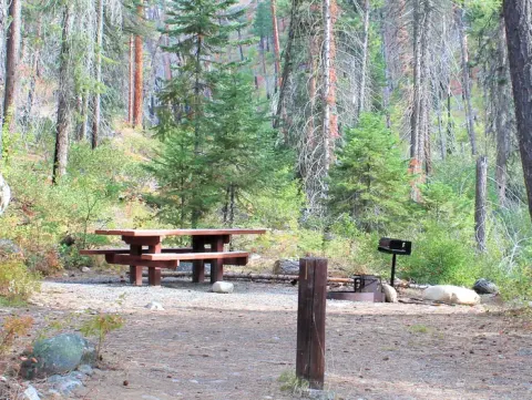 Campsite in the forest with picnic table and fire grill.