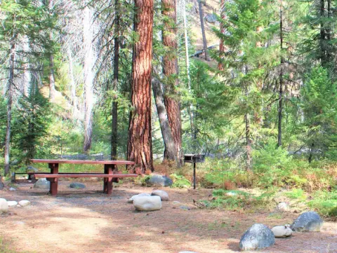 Campsite in the ponderosa pines with picnic table and fire grill.