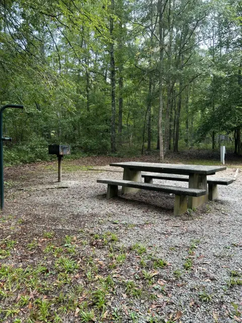 Chattahoochee-Oconee National Forest recreation area