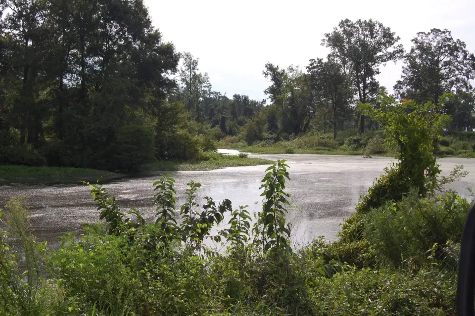 Paraloma Pond