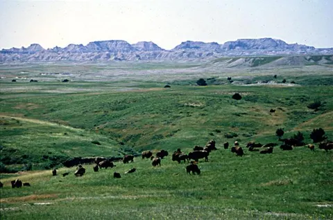 Sage Creek Campground 005