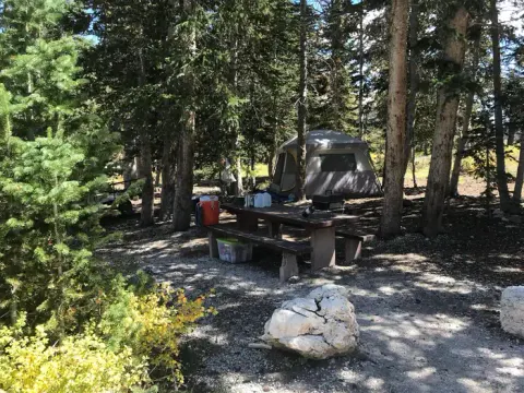 Twelve Mile Flat Campground SITE