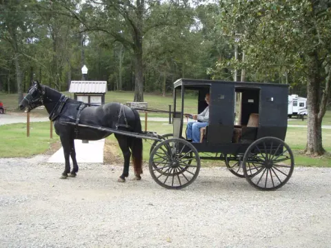 Visitors enjoying a buggy ride in Ford's Well.
