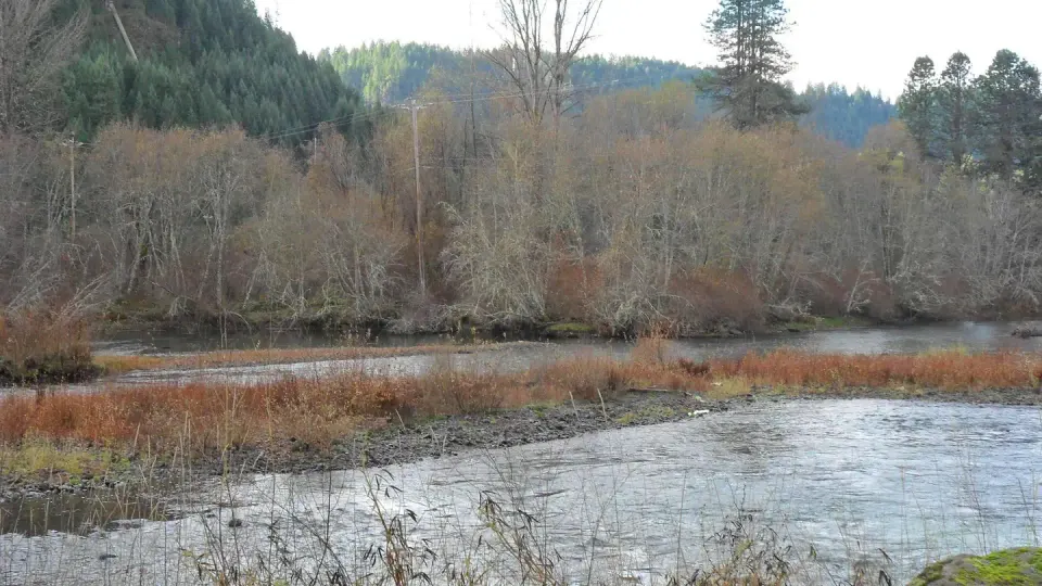 Nearby Umpqua River