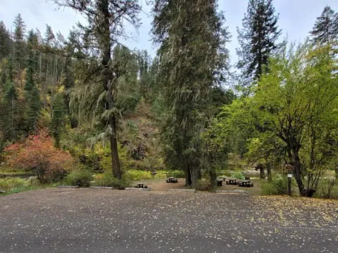 Nez Perce-Clearwater National Forests recreation area