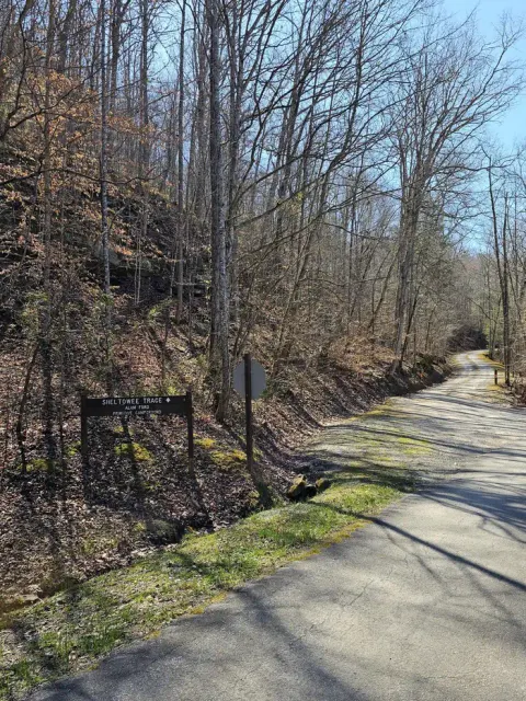 Gravel road spurs off the main road up into the woods.