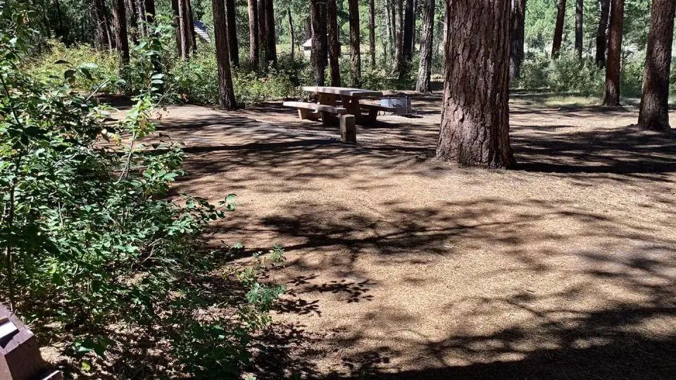 Malheur National Forest recreation area
