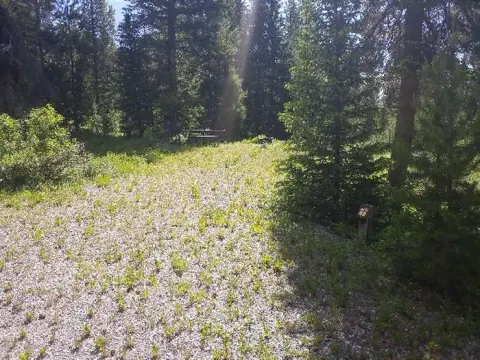Shoshone National Forest recreation area