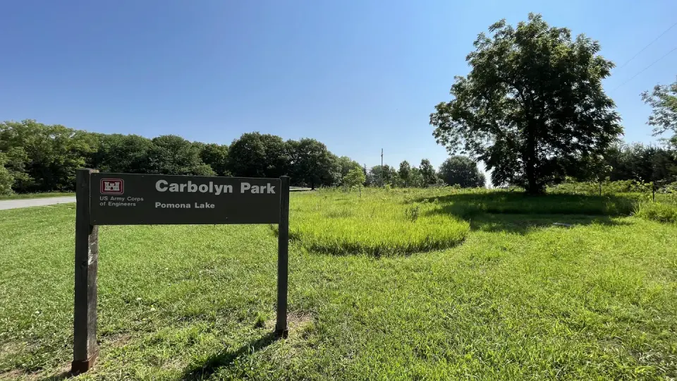 Carbolyn