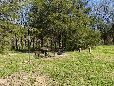 A brown picnic table with a fire ring and lantern hook sit on a grassy campsite.