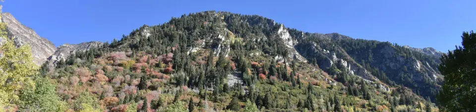 Uinta-Wasatch-Cache National Forest recreation area