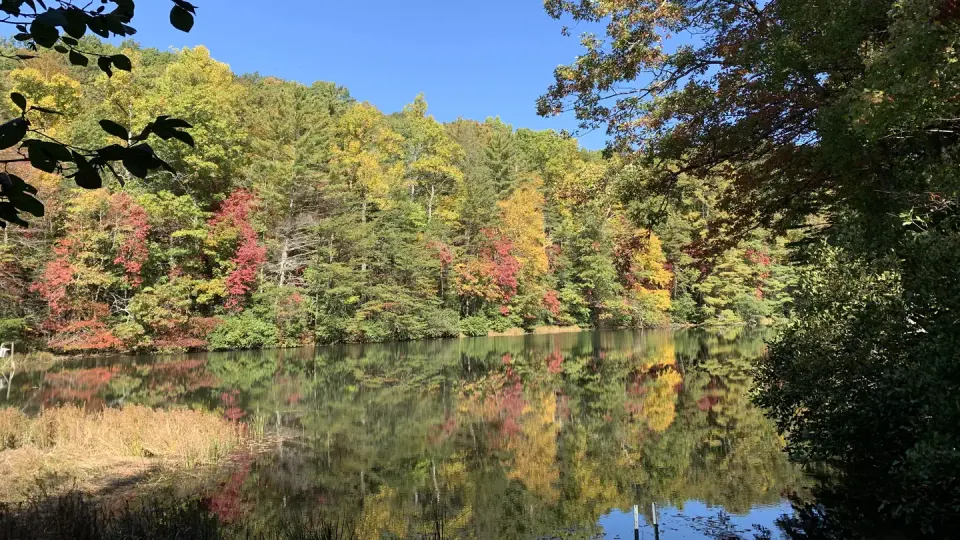 Dockery Lake with Fall Colors